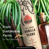 Sri Lankan Premium Grade A Vanilla Beans