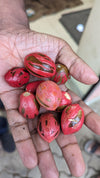 Whole Sri Lankan nutmeg seeds with mace, the spice used to make Raksha nutmeg powder