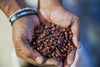 The Magic of Sri Lankan Cloves Raksha