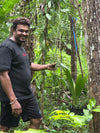 Vanilla Beans Near me. Free Shipping