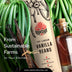buy Vanilla Beans online