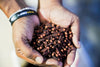 wholesale single origin spices | non-gmo | no fillers